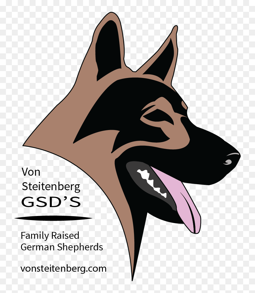 German Shepherd Puppies, German Shepherds, Atticus, - Rottweiler And German Shepherd Logo, HD Png Download - shepherd png