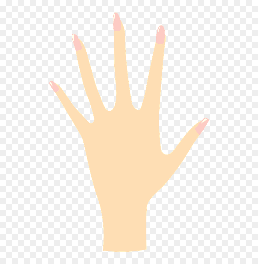 Womans Hand Clipart - Illustration, HD Png Download - hand .png