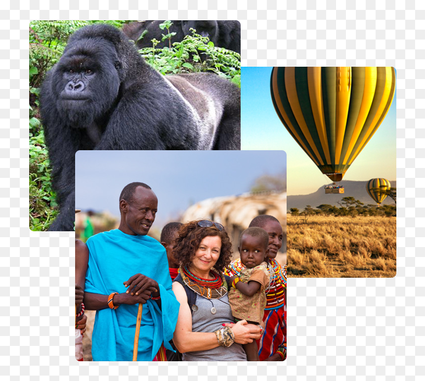 Monkey, HD Png Download - safari animals png
