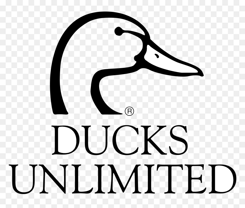 Ducks Unlimited Logo, HD Png Download - unlimited png