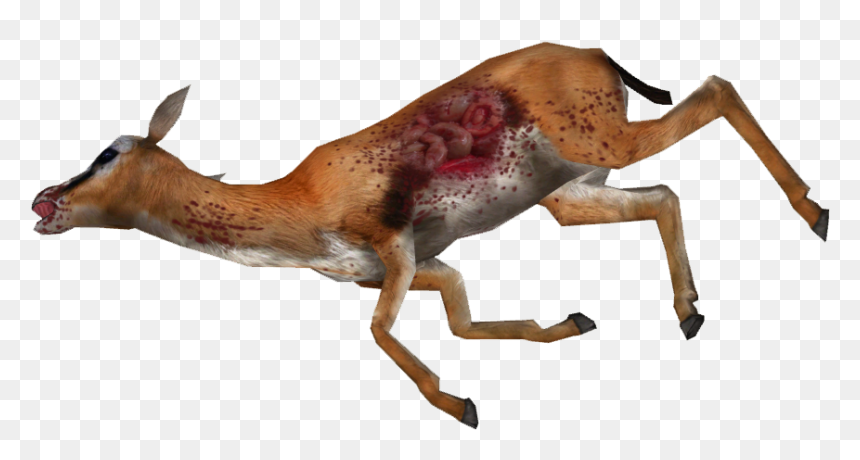 Dead Gazelle Png, Transparent Png - dead animal png