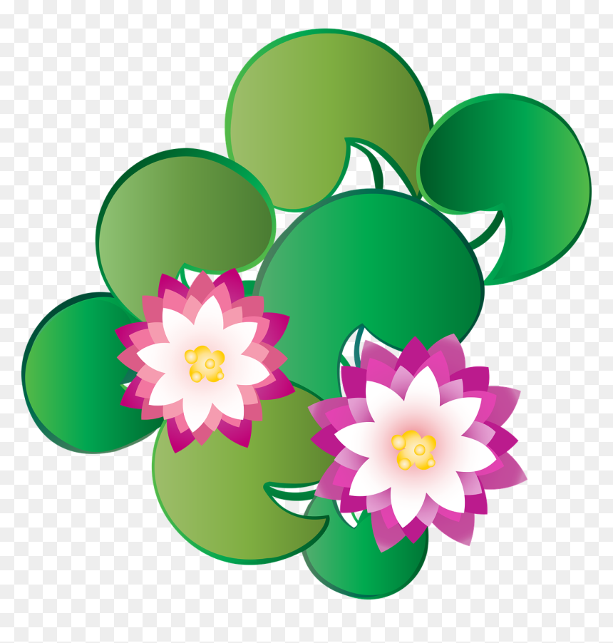 Dal Lake, HD Png Download - lotus flower graphic png