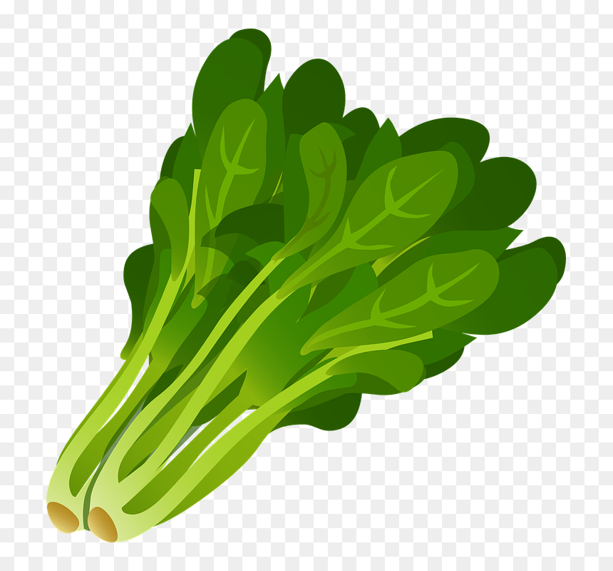 Clipart Of Vegetable, Vegetab E And Seaweed Long , - Продукты Хорошо Ощелачивают Организм, HD Png Download - seaweed clipart png