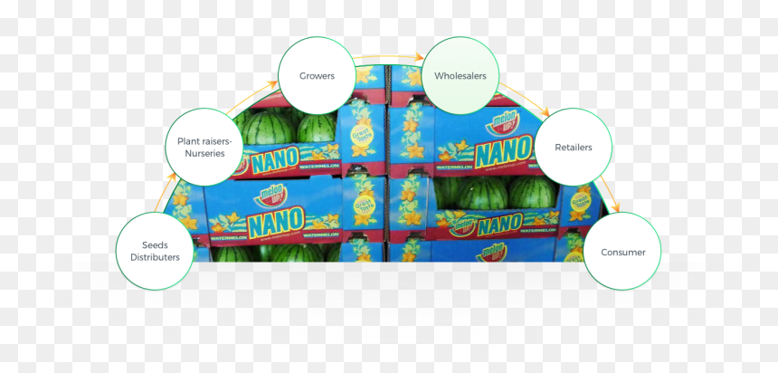 Origene Seeds Lead To A Significant Contribution For - Cartoon, HD Png Download - rapper chain png