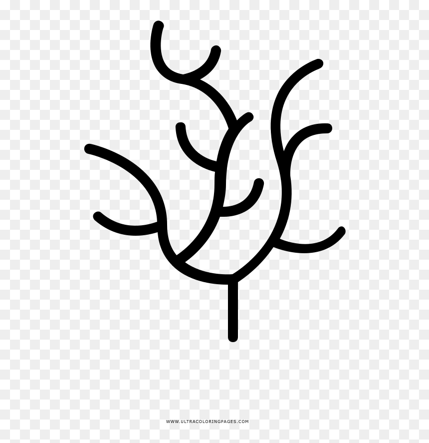 Transparent Seaweed Clipart - Coloring Book, HD Png Download - seaweed clipart png