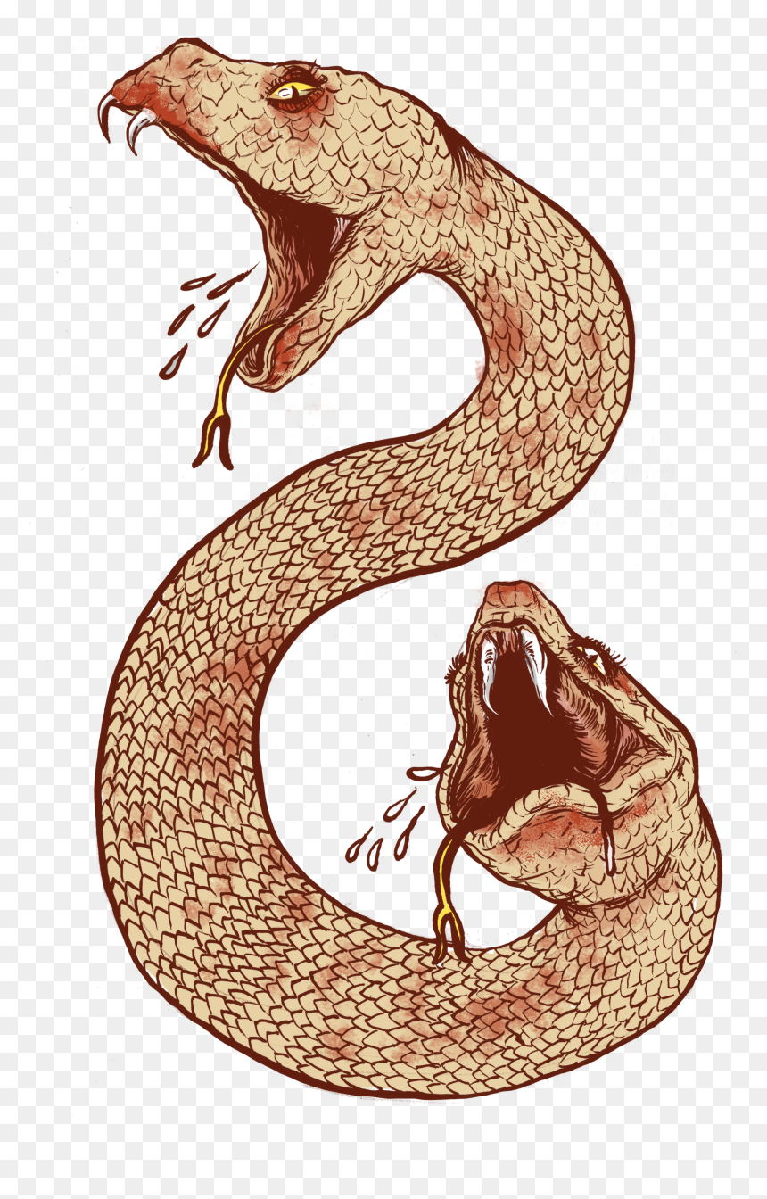 Snake Tattoo Clipart Ancient - Mythical Creature Amphisbaena, HD Png Download - snake tattoo png
