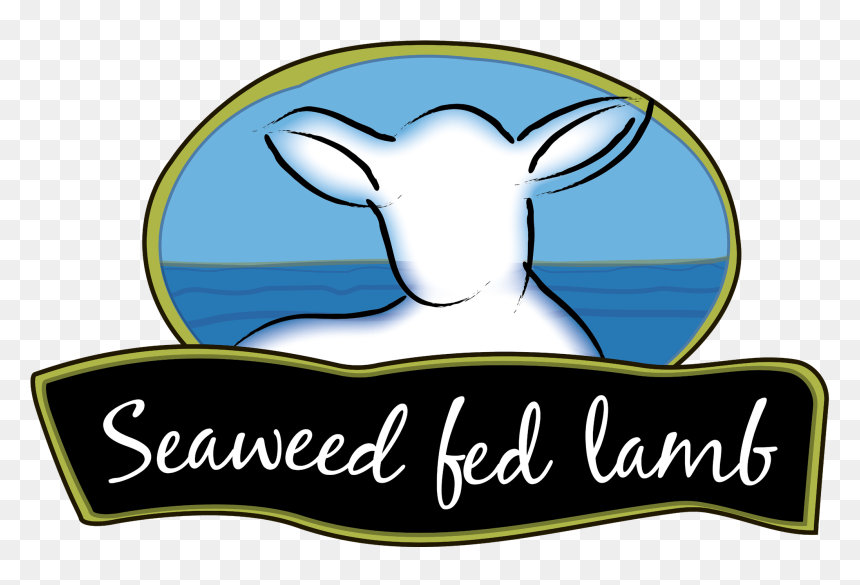 Clip Art, HD Png Download - seaweed clipart png
