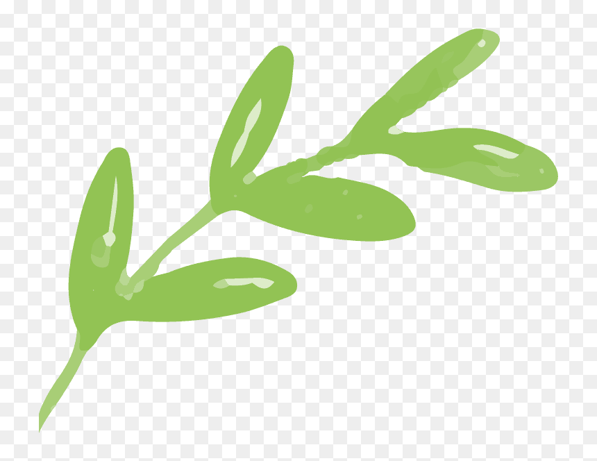 Clip Art, HD Png Download - seaweed clipart png