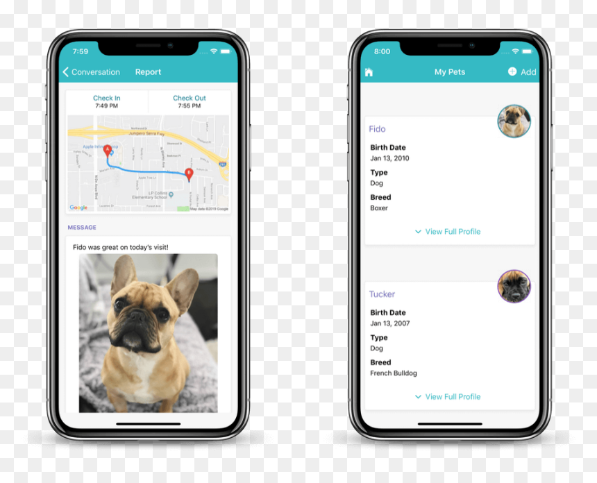 Dog Walking Client App - Dog Walking App, HD Png Download - walking dog png