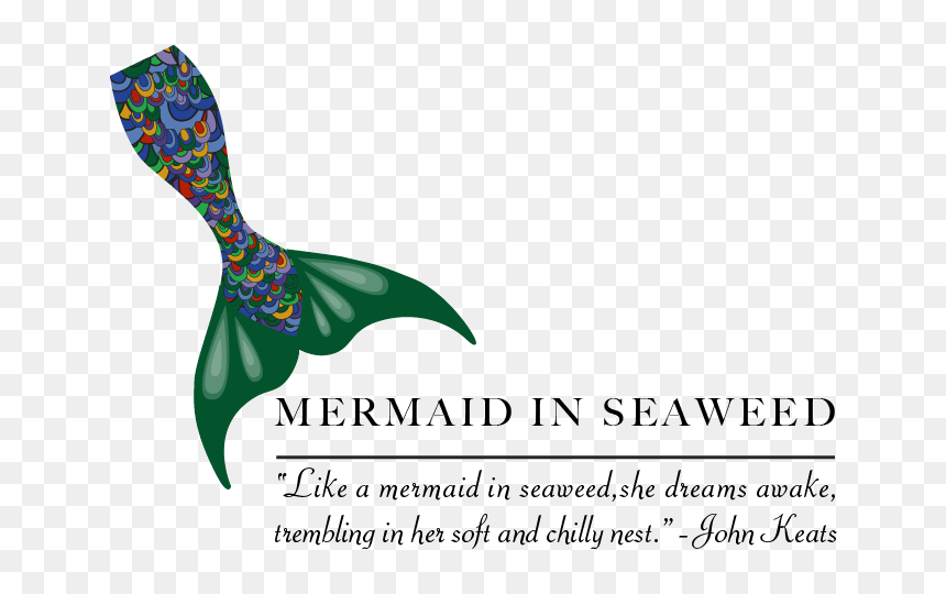Clip Art, HD Png Download - seaweed clipart png