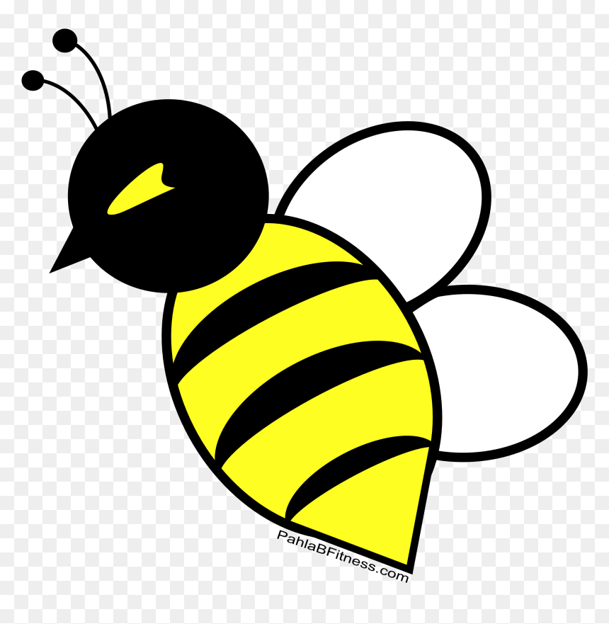 Plyo And Agility Stepper Workout - Exercise, HD Png Download - honeybee png