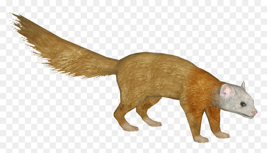 Punxsutawney Phil, HD Png Download - weasel png
