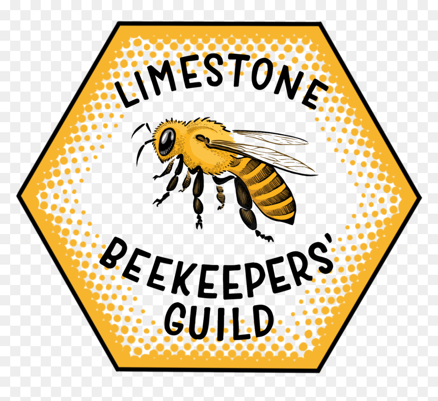Limestone Beekeepers - Honeybee, HD Png Download - honeybee png