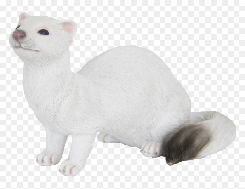 Ferret, HD Png Download - weasel png