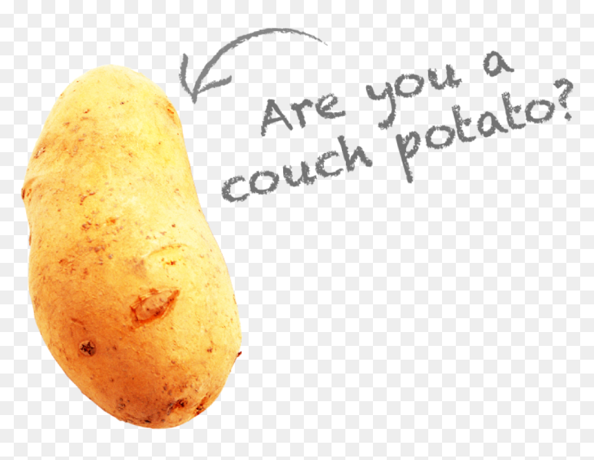 Are You A Couch Potato - Russet Burbank Potato, HD Png Download - couch potato png