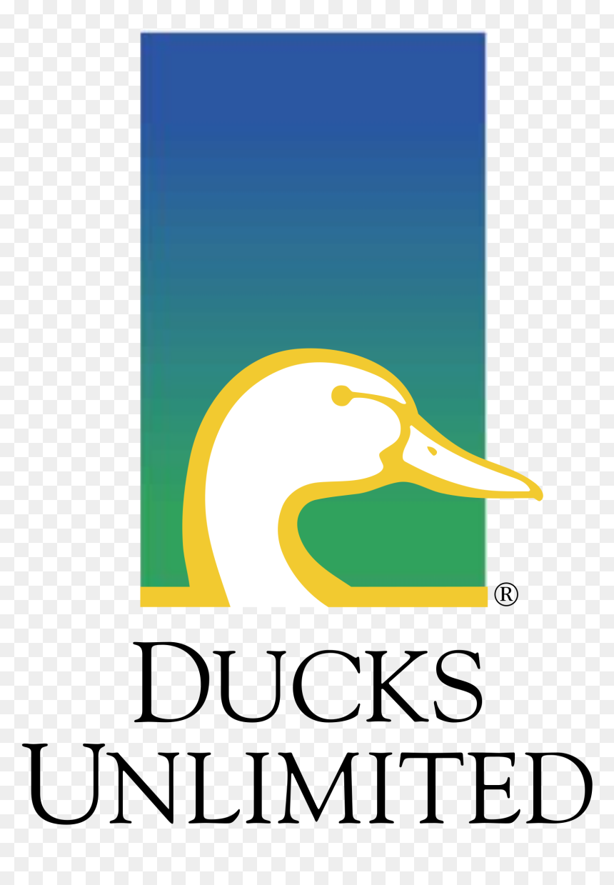 Ducks Unlimited, HD Png Download - unlimited png