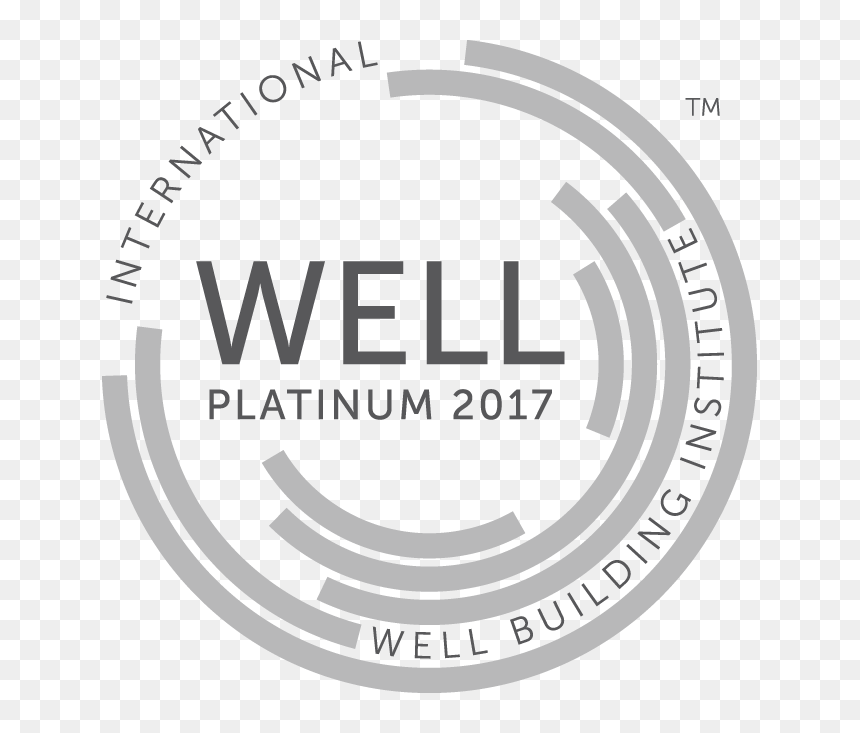 2017 Well Platinum - Certificacion Well, HD Png Download - platinum png