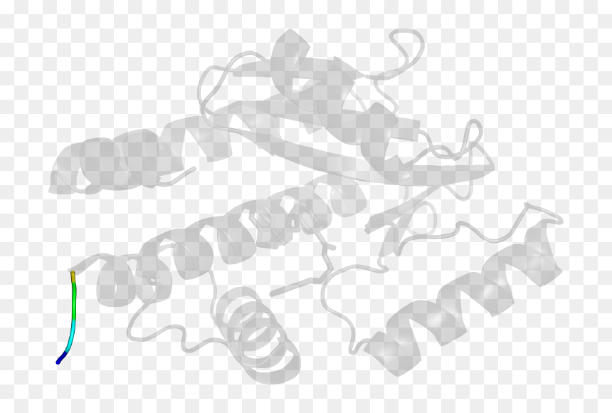 D5wdwa2 In Context Of Chain - Illustration, HD Png Download - tug of war png