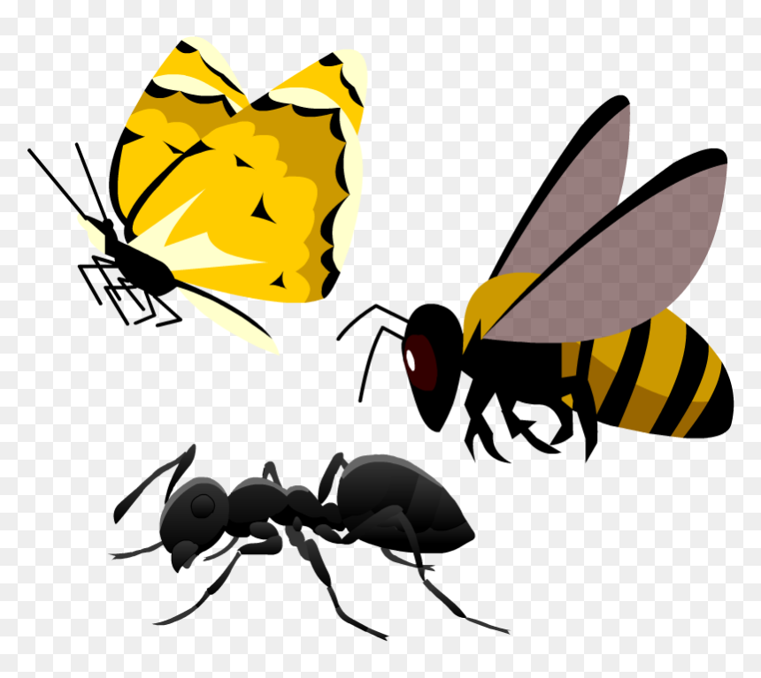 Honeybee , Png Download - Honeybee, Transparent Png - honeybee png