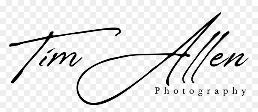 Line Art, HD Png Download - tim allen png