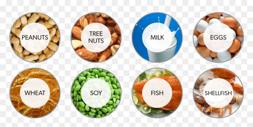 Food Allergies - Allergies Food, HD Png Download - nut button png