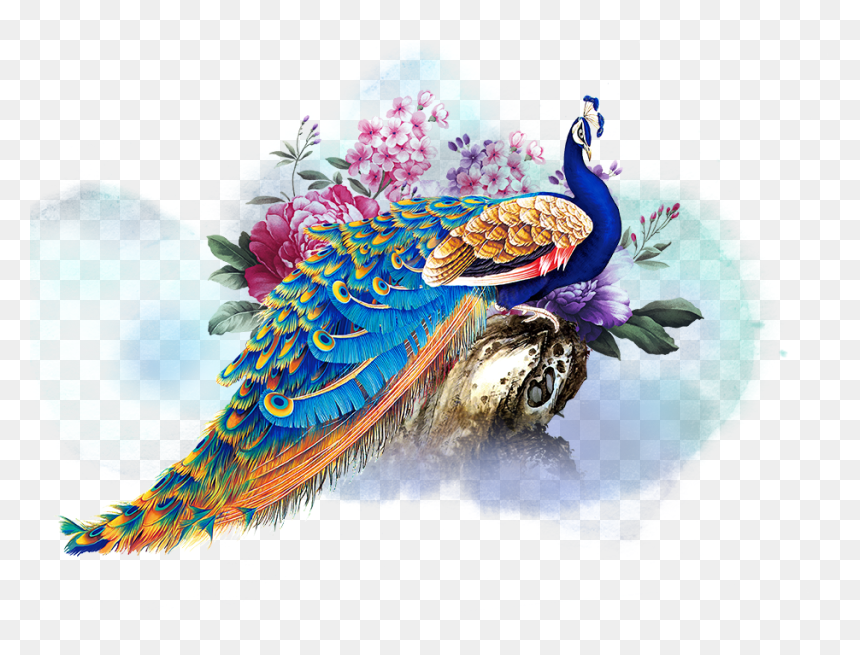 Transparent Peacock Png File - Peacock Illustration, Png Download - peacock png file