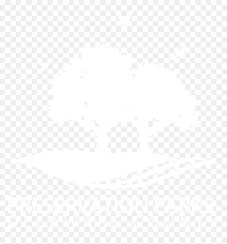 Graphic Design , Png Download - Illustration, Transparent Png - calendar design png
