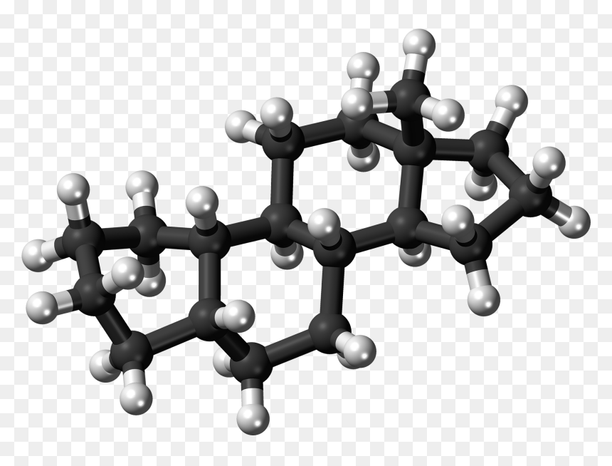 5beta-estrane Molecule Ball - Testosterone Molecule, HD Png Download - white sphere png