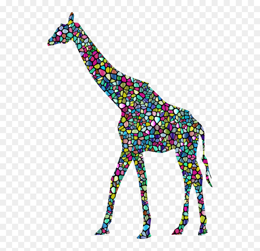 Baby Giraffes West African Giraffe Vertebrate Northern - Girrafe Clipart, HD Png Download - giraffe png images