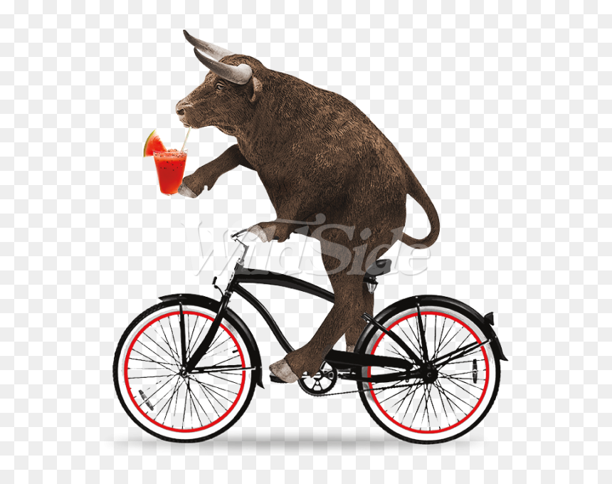 Clipart Bike Beach Cruiser - Bull Riding A Bike, HD Png Download - bull riding png