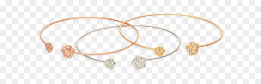 Petit Floral Set, Tricolor Gold - Circle, HD Png Download - tricolor png