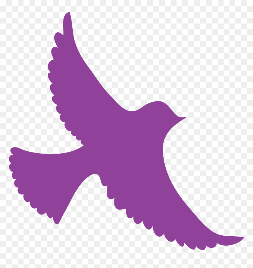 Bird Of Prey, HD Png Download - bird feathers png