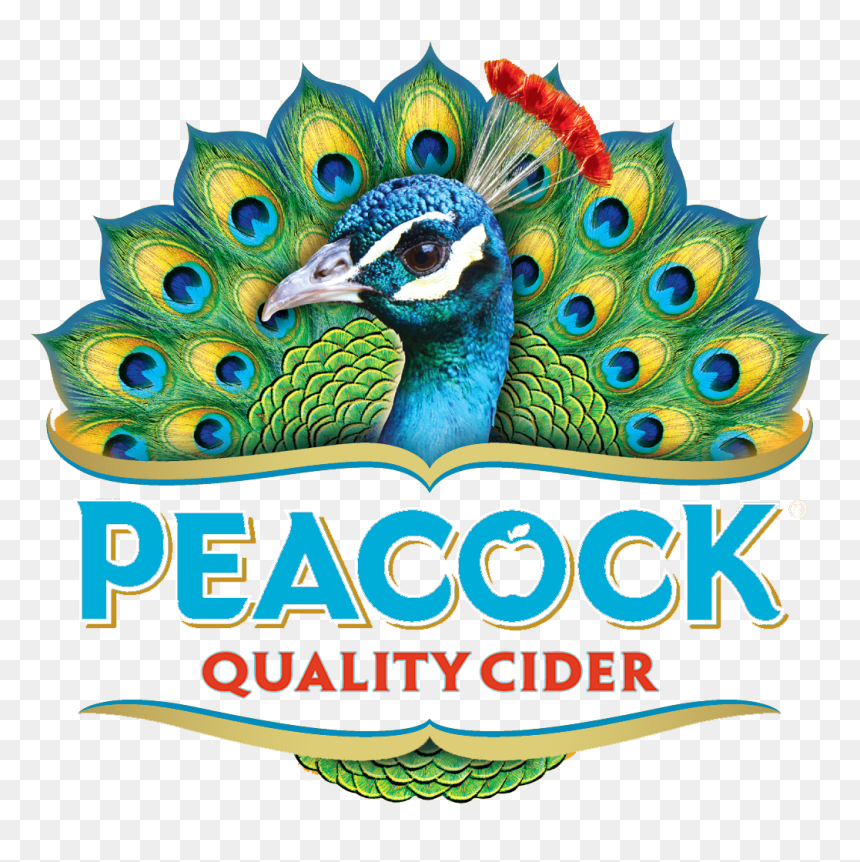 Peacock Cider - Peacock Cider Logo Png, Transparent Png - peacock wing png