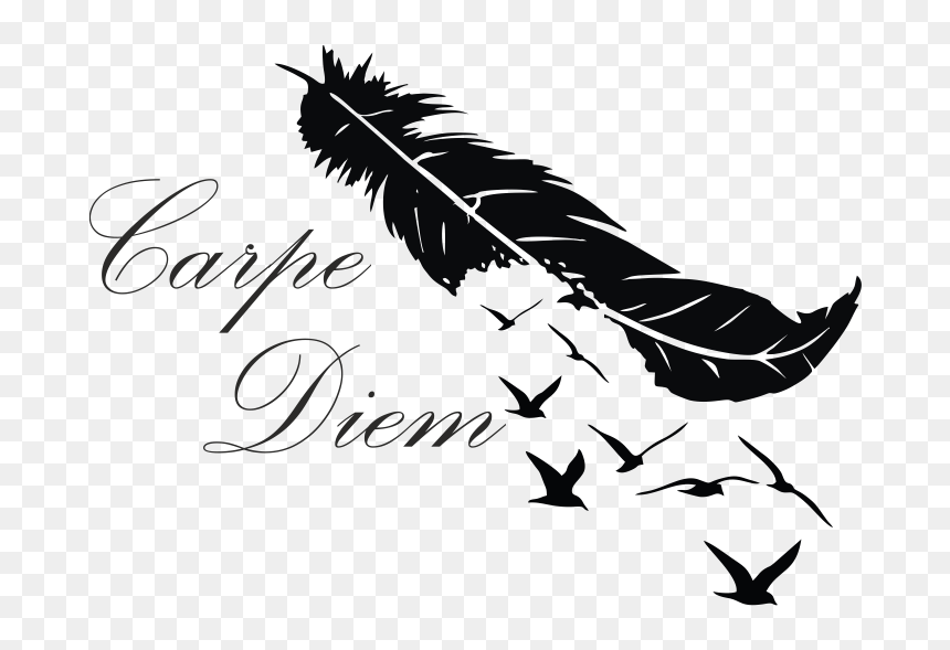 Feather Bird Abziehtattoo - Carpe Diem, HD Png Download - bird feathers png