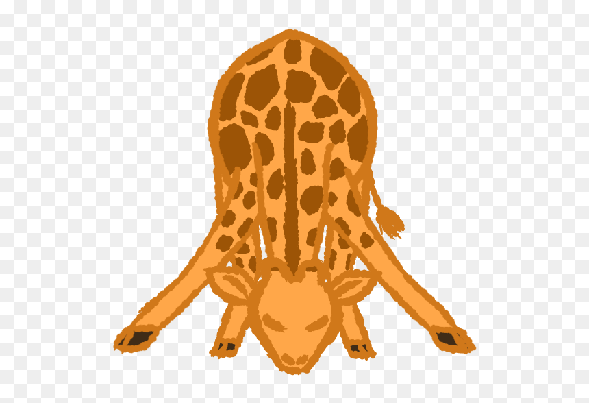 Giraffe, HD Png Download - giraffe png images