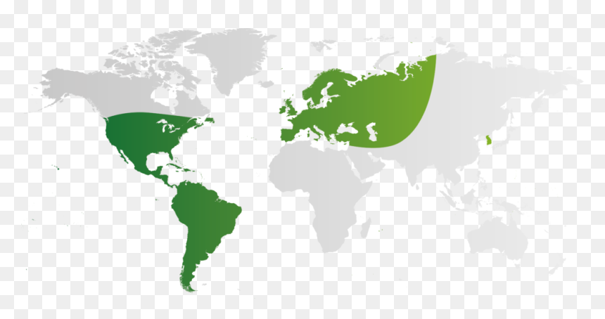 Instagram Music Available Countries, HD Png Download - mapamundi png