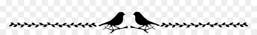 Crow, HD Png Download - peacock wing png