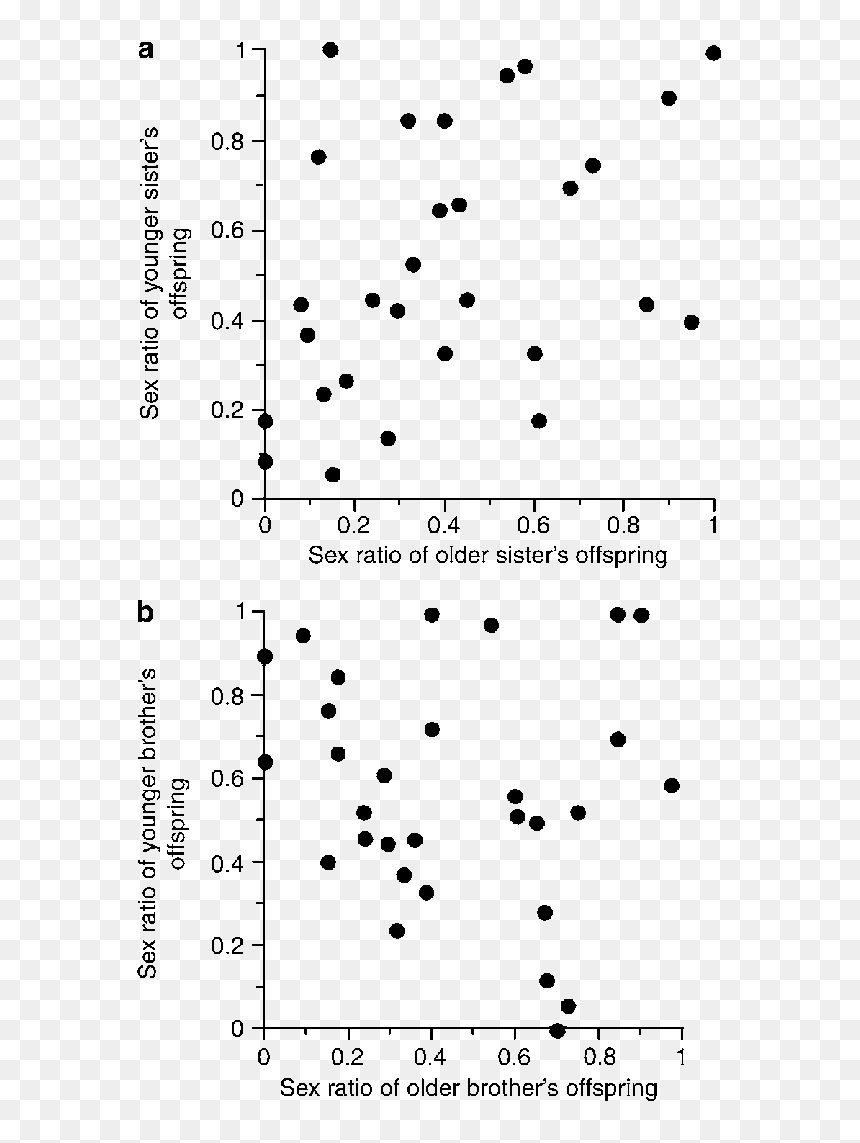 Sex Ratio, Transparent Png - Sex Ratio Drawing, Png Download - brother sister png