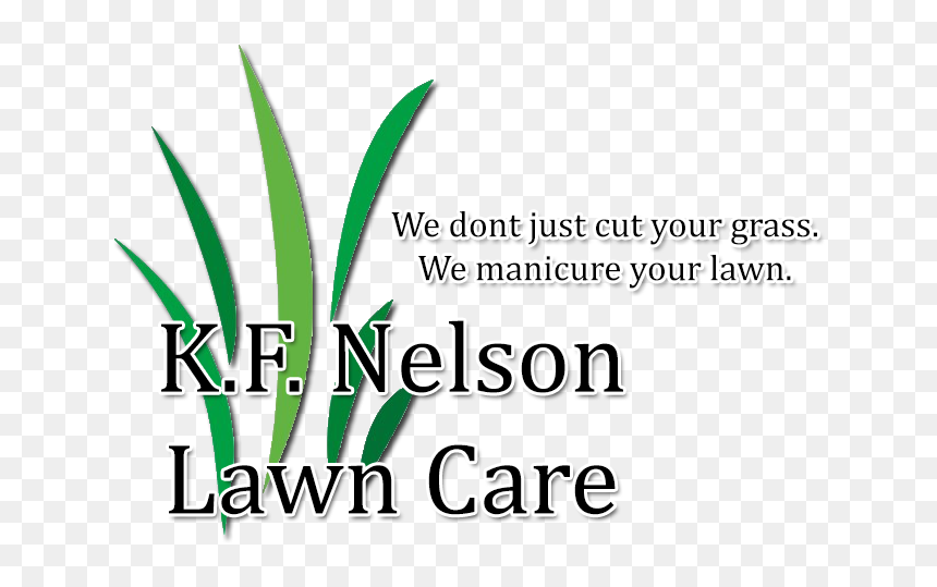Grass, HD Png Download - lawn care png