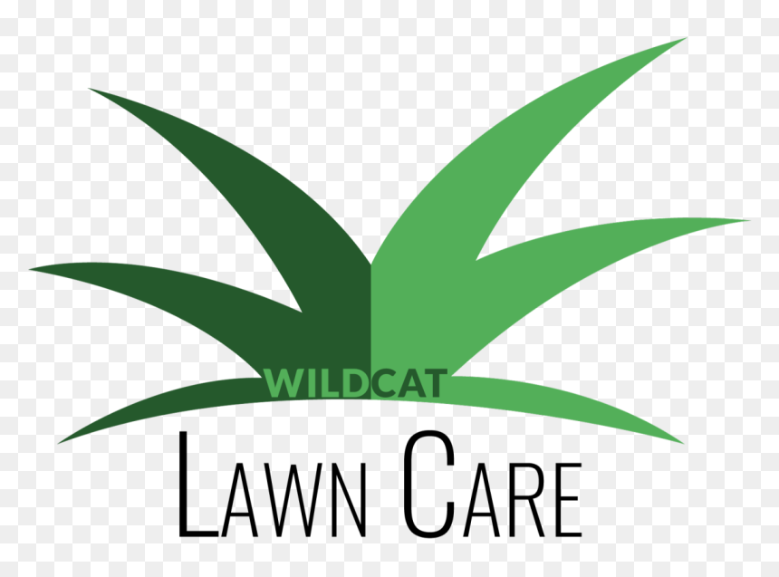 Agave, HD Png Download - lawn care png