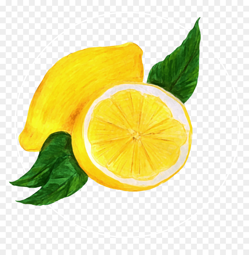 Attribute Motif Lemon White - Lemon, HD Png Download - lemon fruit png