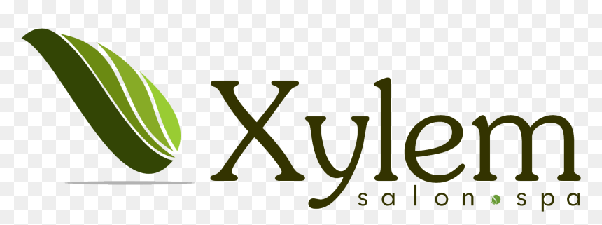 Clip Art, HD Png Download - aveda logo png