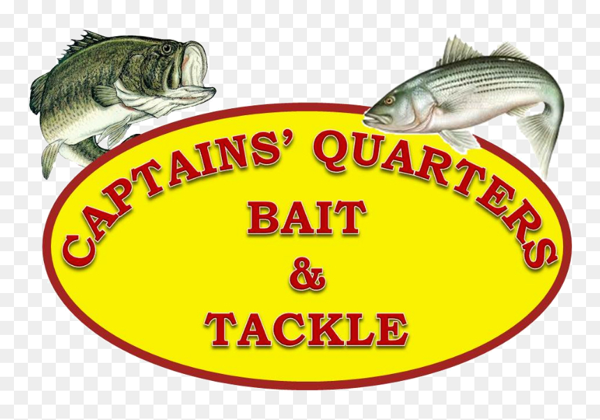 Spring Fling Sponsored By Captain"s Quarters Bait & - Monkfish, HD Png Download - spring fling png
