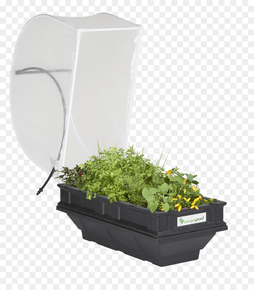 Small Raised Garden Bed With Cover - Small Vegepod, HD Png Download - arbusto png