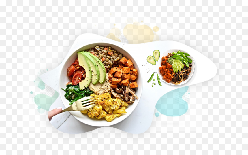 Balanced Plate Of Food, HD Png Download - veg dishes png