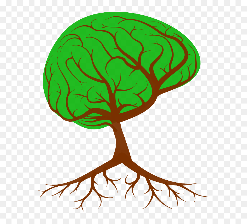 To Flourish As Humans We Need To Pursue The Right Road - Brain Tree, HD Png Download - human brain clipart png