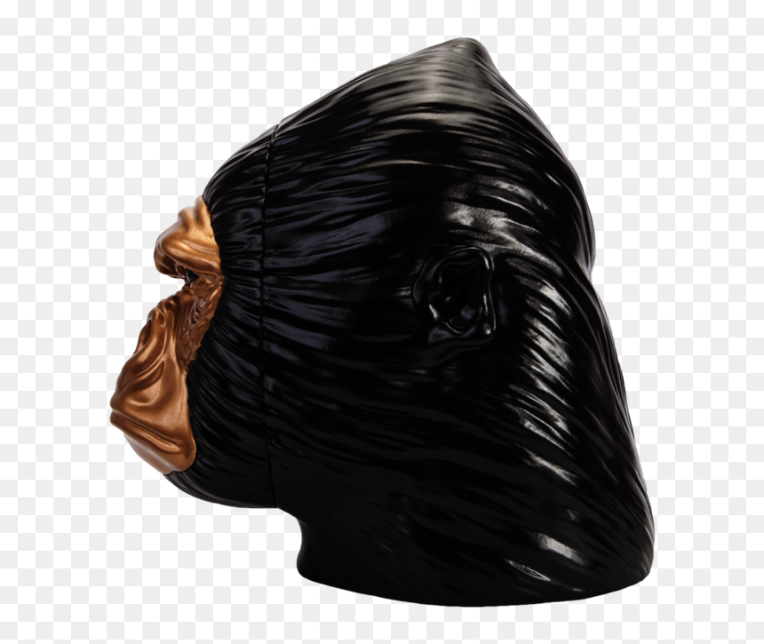 Darwin Face Darwin Side Profile , Png Download - Bronze Sculpture, Transparent Png - side face png