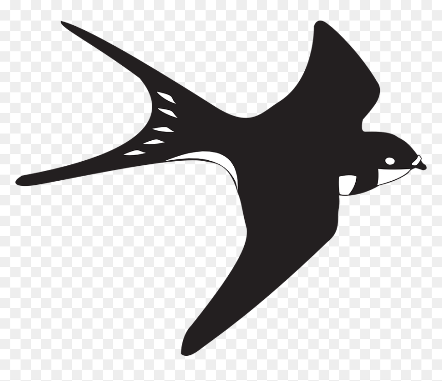 Bird Clipart Black And White, HD Png Download - white birds flying png