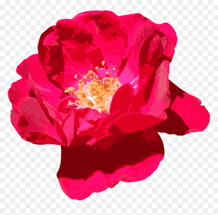 Red Flowers, HD Png Download - png wallpaper download