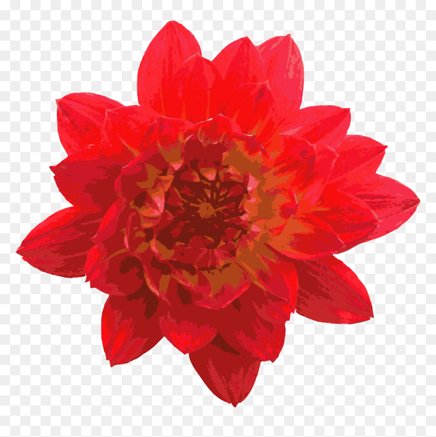 Roselle, HD Png Download - png wallpaper download